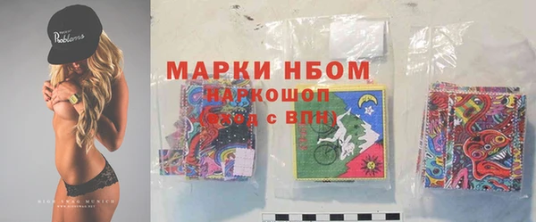 шишки Баксан
