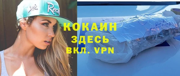 шишки Баксан