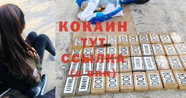 шишки Баксан