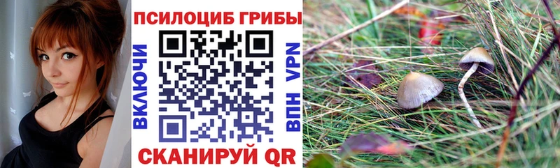 Галлюциногенные грибы мухоморы  где найти   Заозёрный 