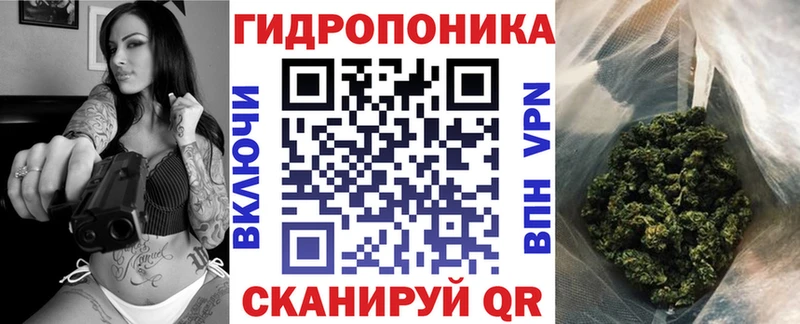 Канабис конопля Заозёрный